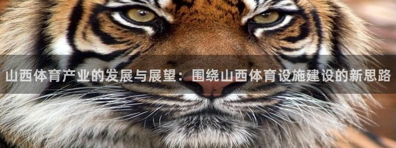 意昂4五金厂
