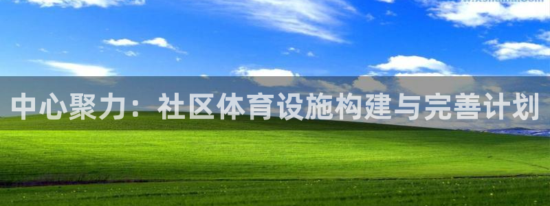 意昂体育4平台：中心聚力：社区体育设施构建与完善计划