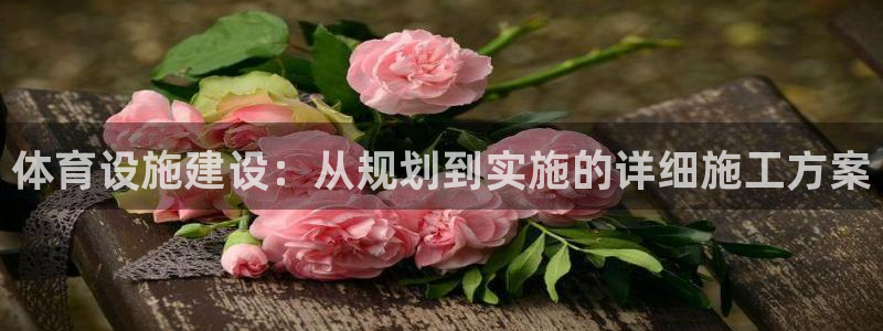 意昂4神州：体育设施建设：从规划到实施的详细施工方案