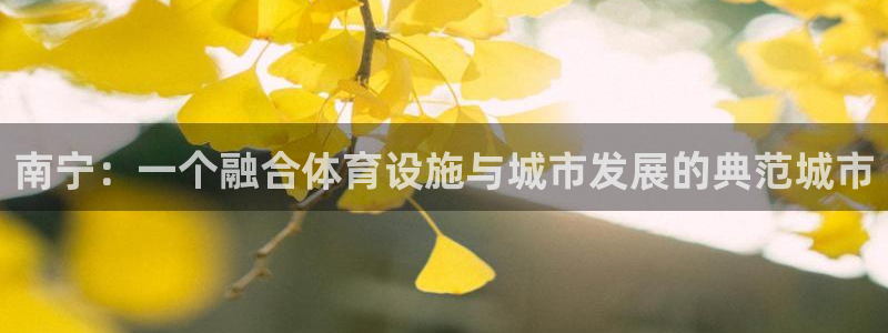 意昂体育4招商电话号码：南宁：一个融合体育设施与城市