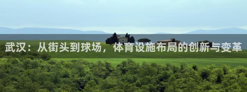 意昂体育4招商电话号码查询是多少：武汉：从街头到球场