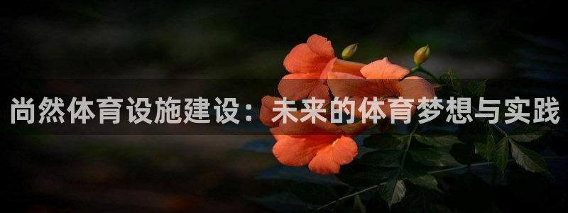 意昂4娱乐代理怎么样