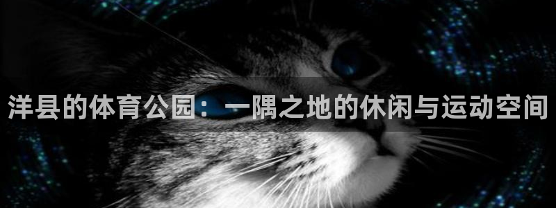 意昂体育4招商电话地址