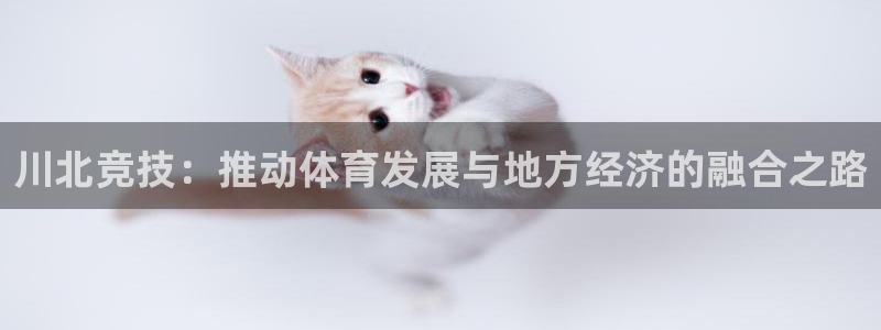 意昂体育4平台APP：川北竞技：推动体育发展与地方经济的融合