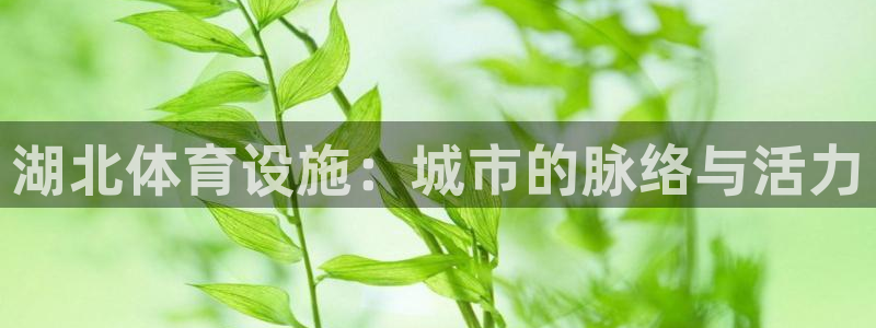 海南意昂体育4发展怎么样：湖北体育设施：城市的脉络与活力