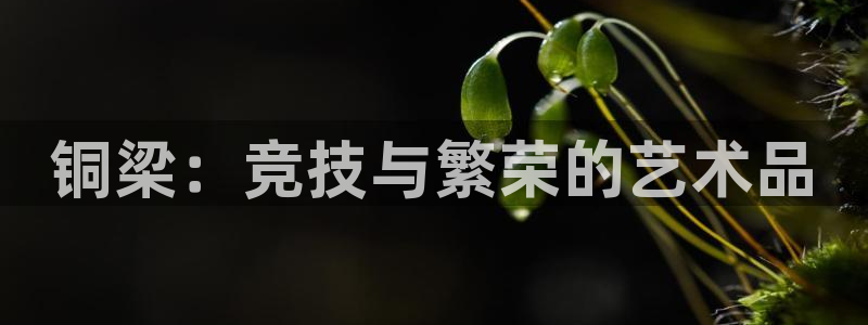 意昂4新能源：铜梁：竞技与繁荣的艺术品 