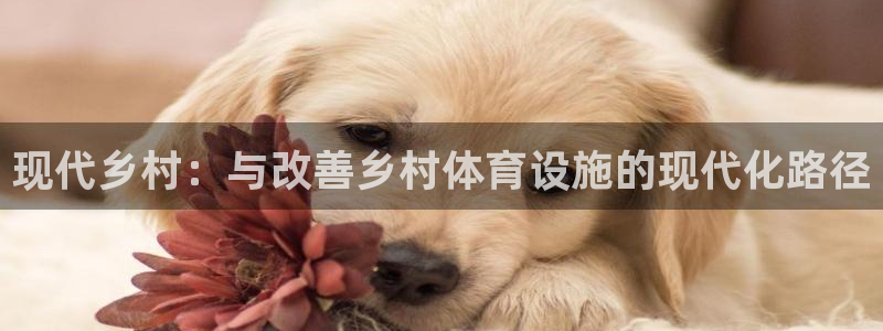 意昂体育4招商电话号码是多少啊：现代乡村：与改善乡村
