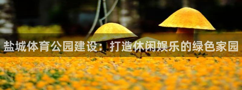 意昂体育4招商电话号码是多少：盐城体育公园建设：打造