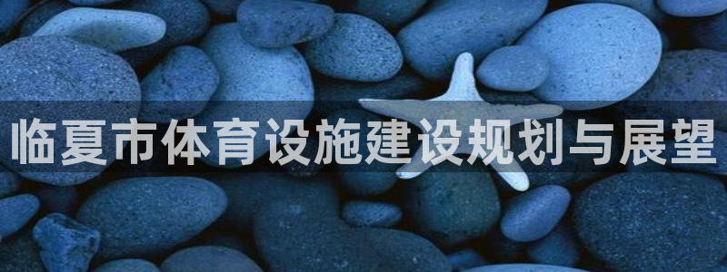 意昂体育4平台APP：临夏市体育设施建设规划与展望