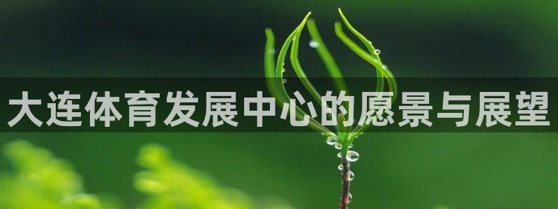 意昂体育4开户：大连体育发展中心的愿景与展望