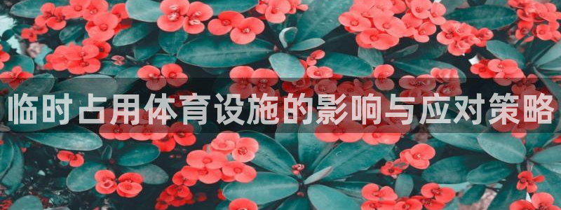 意昂体育4平台假的吗是真的吗：临时占用体育设施的影响