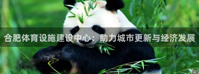 意昂体育4平台假的吗是真的吗：合肥体育设施建设中心：