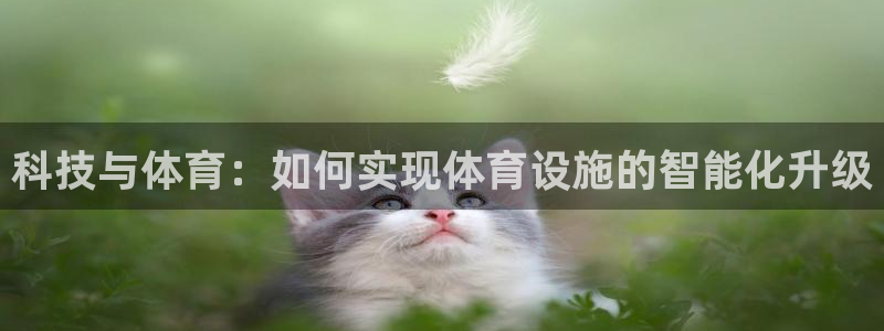 意昂体育4招商电话地址查询：科技与体育：如何实现体育
