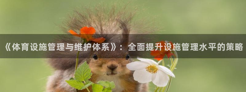 意昂体育4招商：《体育设施管理与维护体系》：全面提升