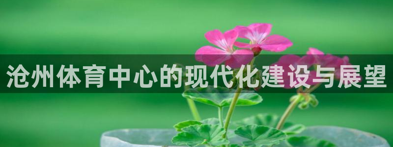 意昂4集团：沧州体育中心的现代化建设与展望