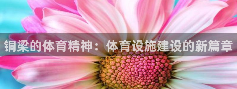 意昂4娱乐网站：铜梁的体育精神：体育设施建设的新篇章