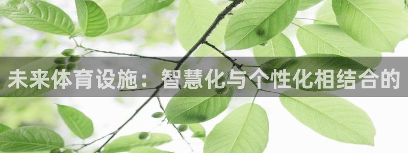 意昂4娱乐平台
