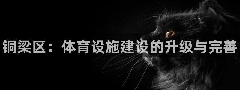 意昂体育4平台假的吗是真的吗吗：铜梁区：体育设施建设