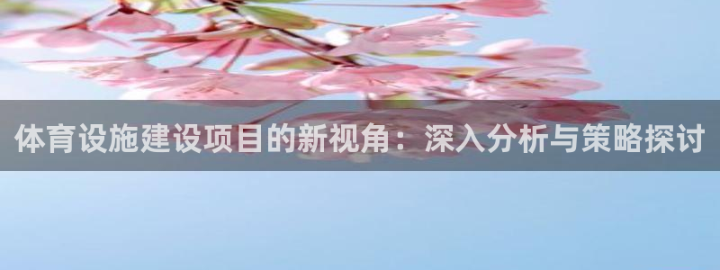 意昂4娱乐首页官网下载：体育设施建设项目的新视角：深