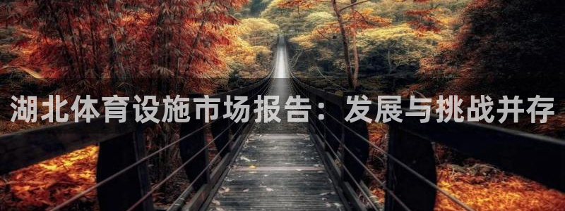 意昂集团官网：湖北体育设施市场报告：发展与挑战并存