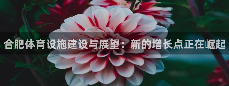 意昂4娱乐首页官网下载：合肥体育设施建设与展望：新的