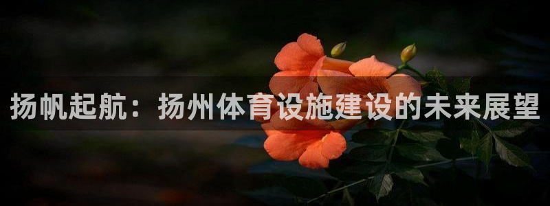 意昂体育4招商电话：扬帆起航：扬州体育设施建设的未来
