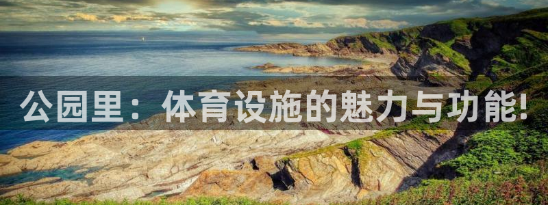意昂4娱乐平台：公园里：体育设施的魅力与功能!