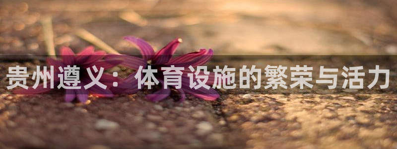 意昂体育4软件：贵州遵义：体育设施的繁荣与活力