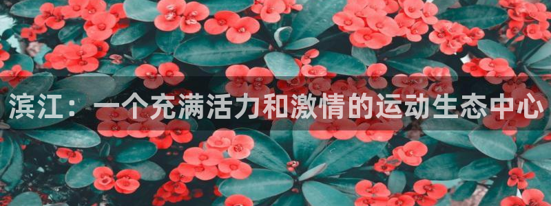 意昂体育4招商电话是多少号码：滨江：一个充满活力和激情的运动
