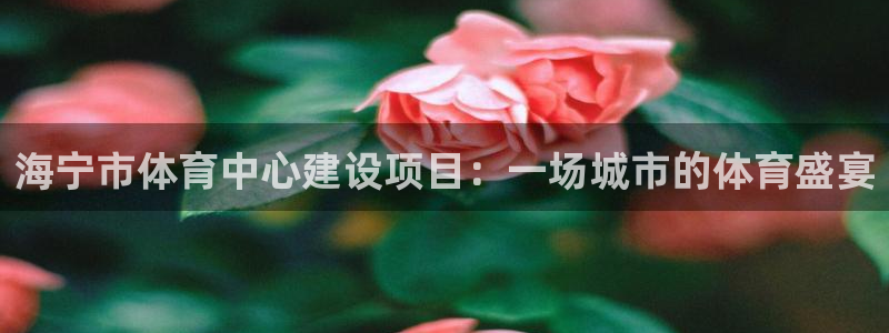 意昂体育4官方客服电话：海宁市体育中心建设项目：一场城市的体