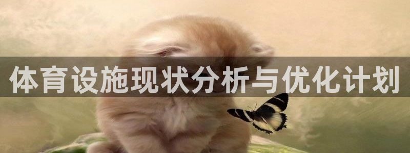 意昂4娱乐首页网站大全：体育设施现状分析与优化计划 