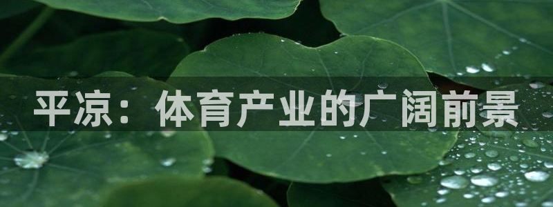 意昂4官方：平凉：体育产业的广阔前景
