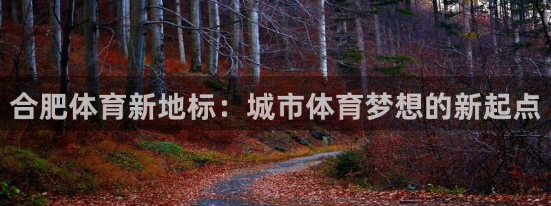 意昂4代理：合肥体育新地标：城市体育梦想的新起点