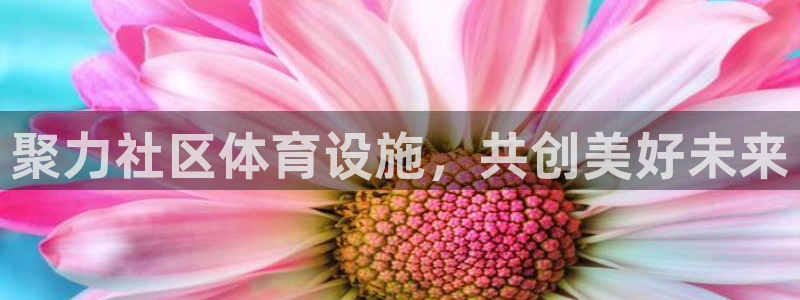 意昂体育4：聚力社区体育设施，共创美好未来