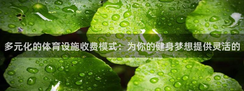 意昂4娱乐下载：多元化的体育设施收费模式：为你的健身