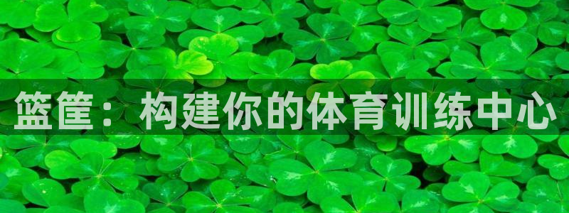意昂体育4平台是正规平台吗：篮筐：构建你的体育训练中
