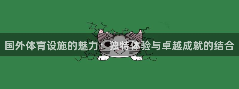 意昂体育4招商电话：国外体育设施的魅力：独特体验与卓