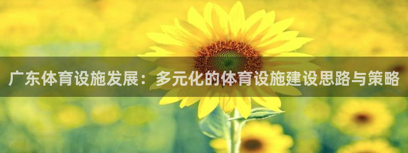 意昂4娱乐：广东体育设施发展：多元化的体育设施建设思