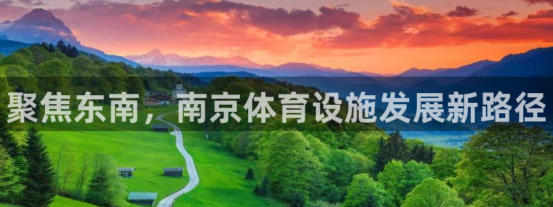 意昂体育4平台是正规平台吗：聚焦东南，南京体育设施发