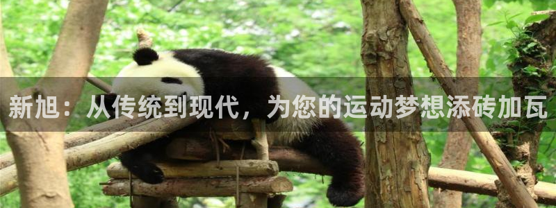 意昂体育4招商电话地址查询：新旭：从传统到现代，为您