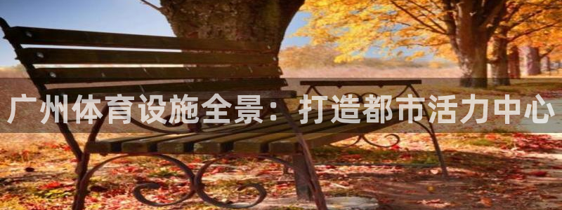 意昂4娱乐网站：广州体育设施全景：打造都市活力中心