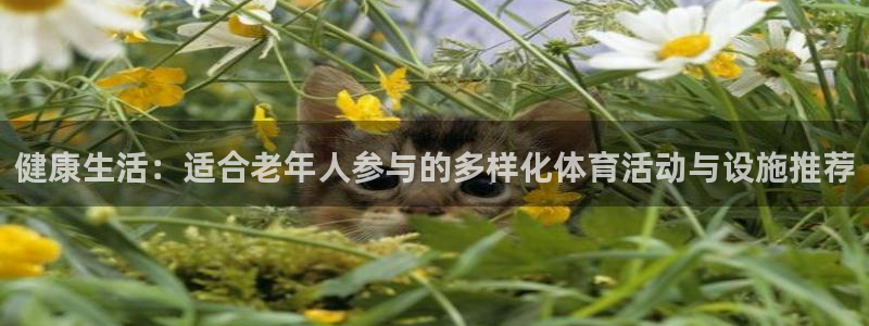 意昂4开户：健康生活：适合老年人参与的多样化体育活动