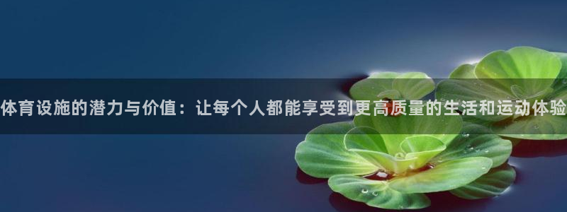 意昂4娱乐代理怎么样：体育设施的潜力与价值：让每个人都能享受