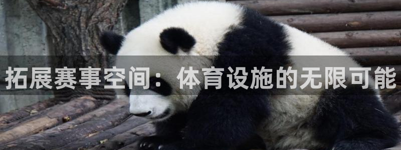 意昂体育4平台注册流程图：拓展赛事空间：体育设施的无