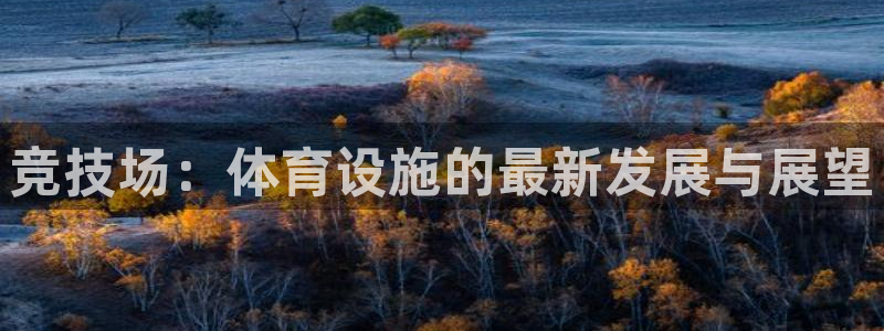 意昂4娱乐首页官网下载：竞技场：体育设施的最新发展与