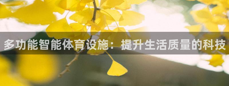 意昂4娱乐下载：多功能智能体育设施：提升生活质量的科