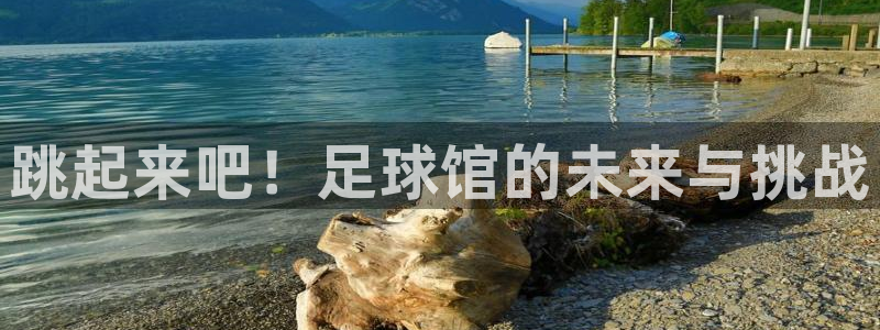 意昂4神州：跳起来吧！足球馆的未来与挑战