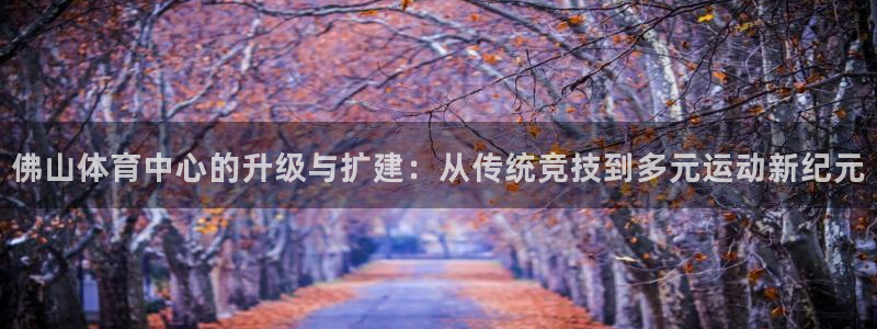 意昂体育4平台注册流程图：佛山体育中心的升级与扩建：