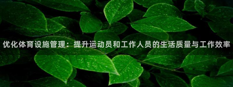 意昂4集团：优化体育设施管理：提升运动员和工作人员的生活质量