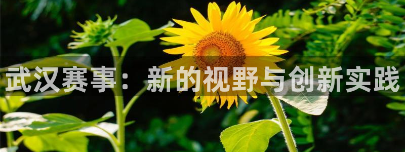 意昂4集团E.ON：武汉赛事：新的视野与创新实践